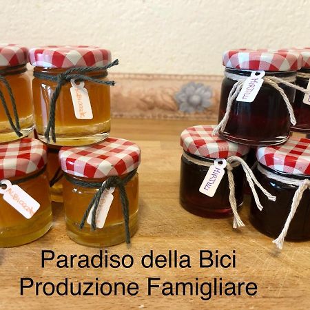 Paradiso Della Bici Morbegno Kültér fotó
