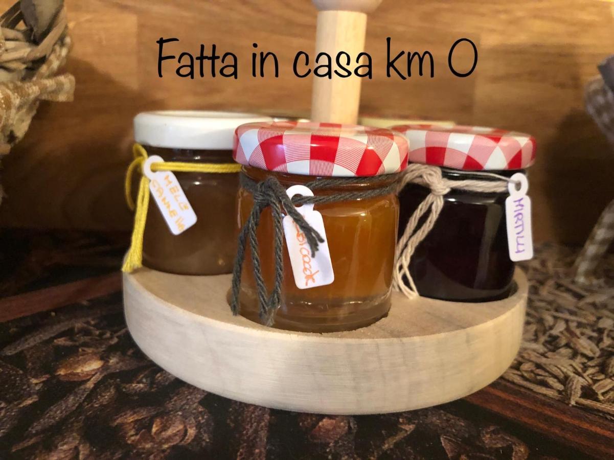 Paradiso Della Bici Morbegno Kültér fotó