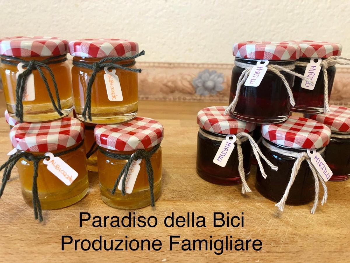 Paradiso Della Bici Morbegno Kültér fotó